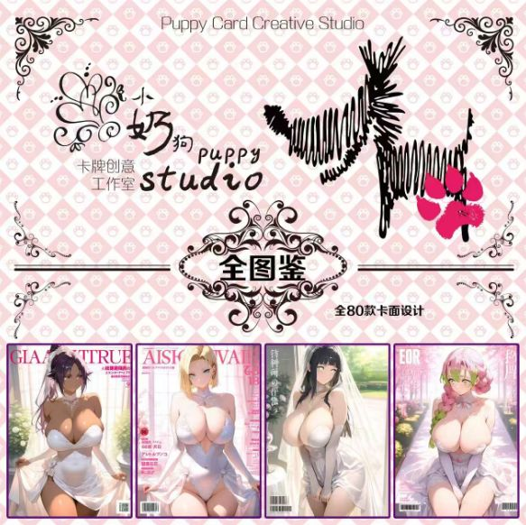 5.11 xiao nai gou gong zuo shi qi ying ji A5 goddess card 小奶狗工作室 绮影集 A5妹卡