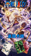 6.2 si hai wen chuang One Piece Metal Card W02 四海文创 海贼王 金属卡 第二弹