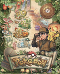 4.29 Pokemon si shi liu cang Metal Card 宝可梦 四时鎏藏 金属卡