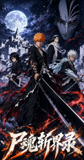 8.17 shi hun zhan jie lu Bleach Metal Card 尸魂斩界录 死神 金属典藏卡